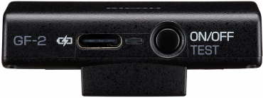 RICOH GF-2 WW
