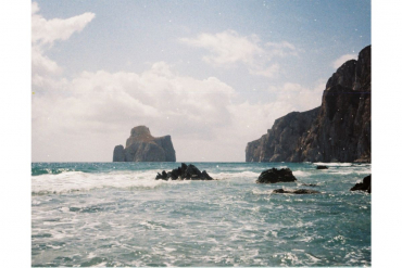 Lomography 110 Golden Gate & Flash + Color Tiger Film