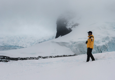 Swarovski CL Companion 8x30 Mountain Green