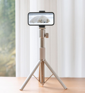 XGIMI Light Gold Portable Stand