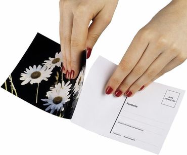 Hama Autocollants de cartes postales pour images