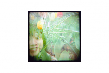 Lomography Color Negative 120 ISO 800 3er Pack
