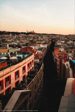 Sony Alpha ILCE-7R V + Sigma 20-200mm f3,5-6,3 DG (C)