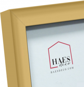 Haes cadre plastique EF5G Easy Frame 30x40cm or