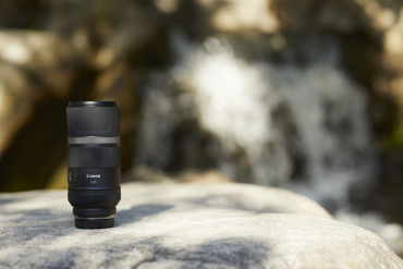 Canon EOS R5 II + RF 600mm f11 IS STM