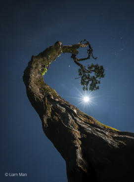 Sony Alpha ILCE-6700 + Sony SEL FE 20-70mm f4 G