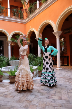 Canon EOS R10 + Sigma 16-300mm f3,5-6,7 DC OS (C)