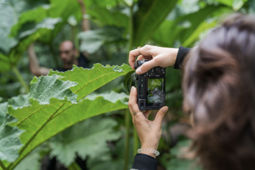 Sony Alpha ILCE-7R V + Sigma 20-200mm f3,5-6,3 DG (C)