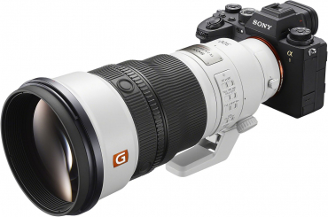 Sony Alpha 1 II + SEL FE 300mm f2.8 GM