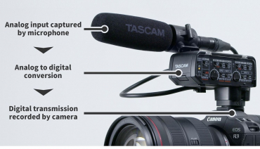 Tascam CA-XLR2d-C XLR-Mikrofonadapter 