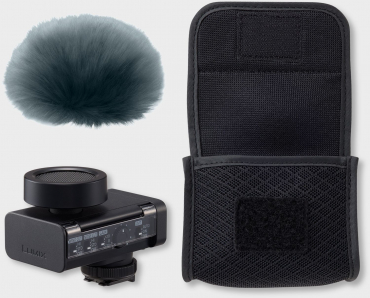 Panasonic Microphone directionnel numérique DMW-DMS1E