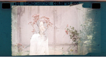 Lomography LomoChrome Color 92 Sunkissed ISO 400 Pocket