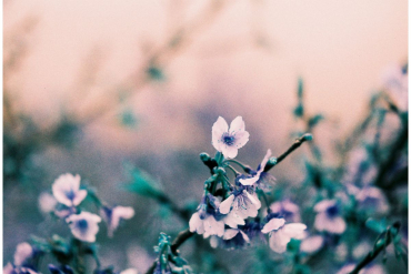 Lomography LomoChrome Turquoise 120 Film en rouleau