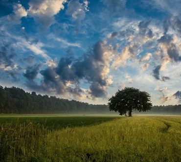 Grundlagen der Fotografie - Osnabrück 29.06.23