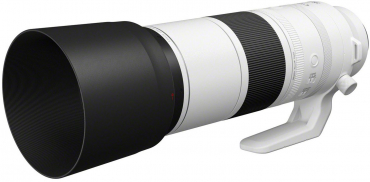 Canon EOS R6 II + RF 200-800mm f6,3-9 IS USM
