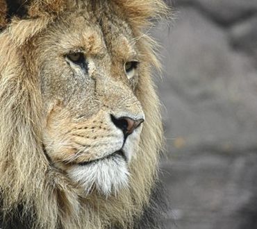 Fotografieren im Zoo Osnabrück 25.+26.09.2020
