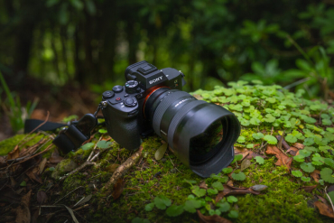 Sony Alpha ILCE-7R V + SEL 200-600mm f5.6-6.3