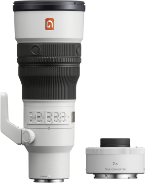 Sony SEL FE 600mm f/6.3 GM OSS White + SEL 20 TC Teleconverter