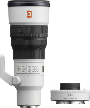 Sony SEL FE 600mm f/6.3 GM OSS White + SEL 14 TC Teleconverter
