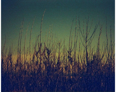 Lomography Lobster Redscale 110 ISO 200 Pocketfilm
