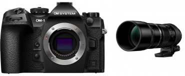 OM System OM-1 Mark II + M.Zuiko ED 300mm f4 IS PRO