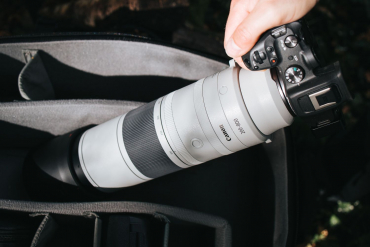 Canon EOS R6 II + RF 200-800mm f6,3-9 IS USM