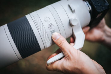 Canon EOS R6 II + RF 200-800mm f6,3-9 IS USM