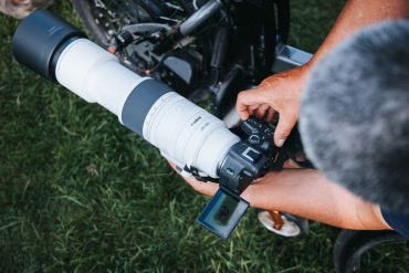 Canon EOS R6 II + RF 200-800mm f6,3-9 IS USM