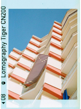 Lomography 110 Golden Gate & Flash + 3x Color Tiger