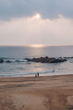 Samyang AF 24-60mm F2.8 FE Schneider-Kreuznach