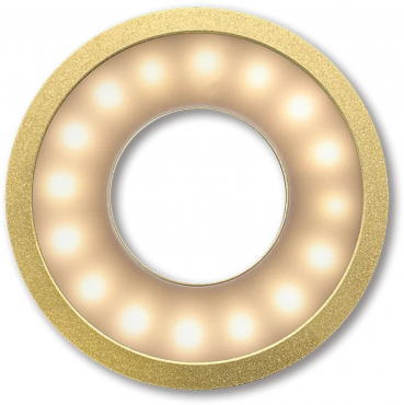 Paper Shoot Ringlight or