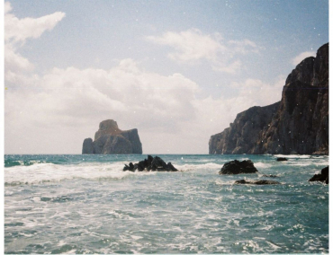 Lomography 110 Golden Gate & Flash + 3x Color Tiger