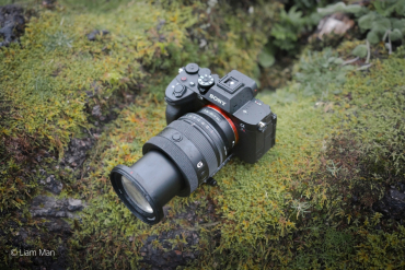 Sony Alpha ILCE-9 III + Sony SEL FE 20-70mm f4 G