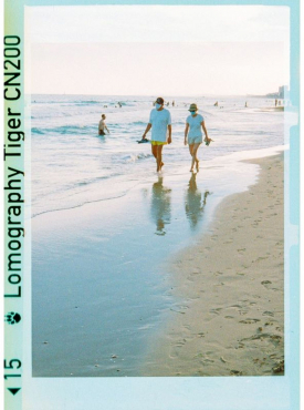 Lomography 110 Golden Gate & Flash + 3x Color Tiger