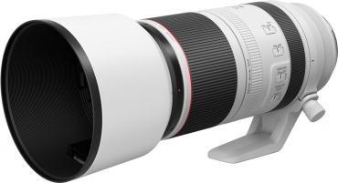 Canon EOS R6 II + RF 100-500mm f4.5-7.1L IS USM