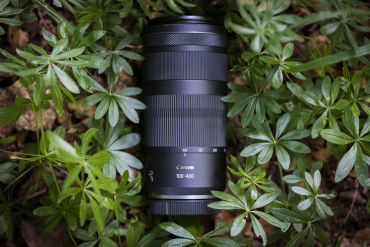 Canon EOS R50 schwarz + 18-45mm IS STM + RF 100-400mm f5,6-8 IS USM