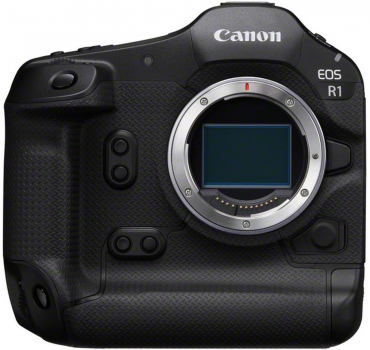 Canon EOS R1 + RF 100-300mm f2.8 L IS USM