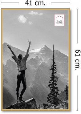Haes cadre plastique EF9G Easy Frame 40x60cm or