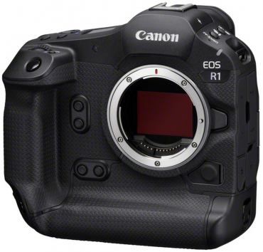 Canon EOS R1 + RF 100-300mm f2.8 L IS USM