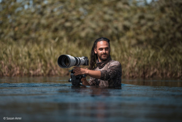 Sony Alpha 7R VI + SEL 400-800mm f6.3-8 G OSS
