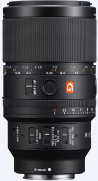 Sony SEL FE 100mm f2.8 Macro GM OSS