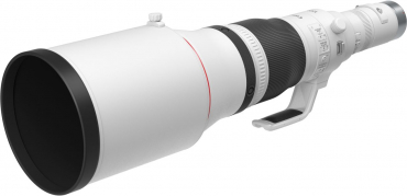 Canon EOS R1 + RF 1200mm f8 L IS USM
