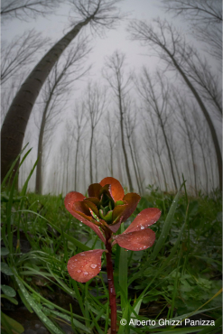 7Artisans 6mm f/2 Fisheye Sony E (APS-C)